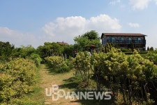 충남 태안 팜카밀레 허브농원의 동화 속 같은 전원풍경