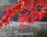 내장산국립공원 우화정 등 단풍, 새벽안개와 어울리면 선경!