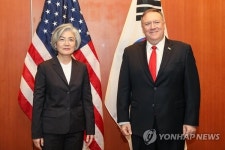 강경화, 폼페이오와 한미조율은 공감대...호르무즈 파병은 '물음표'
