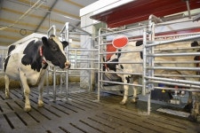 선진 협력사 애그리로보텍, 낙농인 위해 로봇목장 6개소에서 견학 프로그램 개최