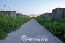 고양대덕생태공원, 코로나시국 봄에 가볼만한 곳으로 추천