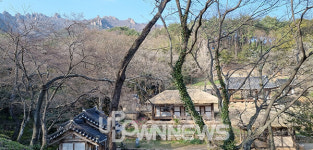 매화꽃 향기 감도는 강진 백운동원림, 4월에 가볼만한 곳으로 추천