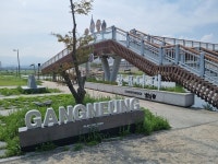 [연차투어] ⑮강릉의 강렬한 햇빛과 아름다운 길