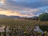 [연차투어] ⑥낙동강 휘감는 상주가 들려주는 옛이야기
