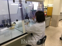 [이천] 학교급식, 로컬푸드 농산물 안전성 입증