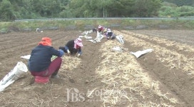 [진안] 이항로 진안군수 활력충전엔 역시 진안홍삼...내 고향 건강밥상 출연
