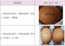 <속보>포천·천안 산란계농장 계란서 또 살충제 변성 피프로닐 설폰 검출...난각코드 08영흥, 11 YJW