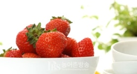 스토리가 있는 과일의 모든 것 채과원, 동탄역점 26일 오픈