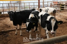 농관원, 친환경안전축산직불제 사업신청 받는다
