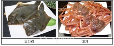 해수부, 3월 어식백세 수산물 도다리·대게 선정...최대 20% 할인 판매