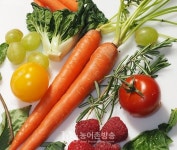 농식품부·서울시, '쌀 대체작물·친환경 농산물 소비확대' 손잡았다