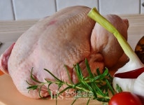 미국산 가금육 고병원성 AI 발생시 해당 주(州) 수입금지..14일부터 수입위생조건 개정 시행