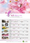농식품부·농어촌公, 봄꽃, 봄나물 따라 떠나는 4월 봄 농촌여행 코스 6곳 선정