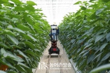 농식품부·농기평, 스마트팜 확산 위한 R&D 추진전략 마련