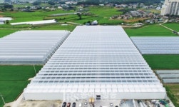 1년새 2배 급증 스마트팜, 대한민국 혁신성장 핵심 선도과제로 급부상