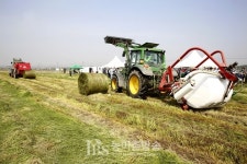국내산 건초, 새만금간척지 550ha서 연 6500톤씩 본격 생산...풀사료 자급률 제고, 축산농가 생산비 절감 기대