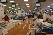 [2018 국정감사] 노량진 수산시장, 극한 갈등에 3년새 63억 증발...수협 경제사업 부실