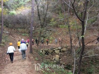 [전남] 노르딕 워킹은 영광 물무산 행복숲이 최고!
