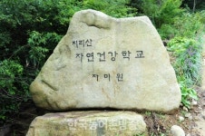 [기획] 지리산의보석같은약초이야기 - 멸종위기 야생약초 복원에 인생을 걸다