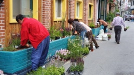 [정선] 전국 최초 지역주민 주도 2019 고한 골목길 정원박람회 28일 개막