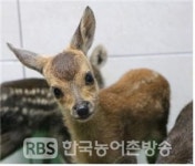 [광주] 광주야생동물구조관리센터 운영 성과 톡톡
