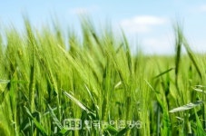 농식품부, 농업생명자원 관리 제도 개선한다