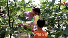 [영상]바른 먹거리 특별체험...식생활 가족캠프
