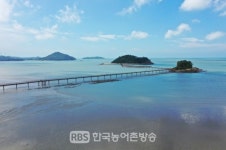 [신안] 천사섬의 끝없는 발전 기원…무한(無限)의 다리개통