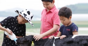 [경남/피플] 배은영 정동목장 교육농장 체험교사