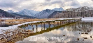 영월, 2019년 판운섶다리 문화축제 개최!