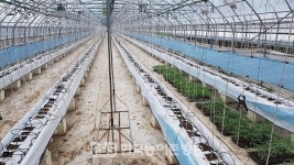 전주시, 시설채소 에너지절감시설 지원으로 농가경쟁력 높여