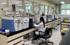 전주지역 전통 모주, 항산화 성분 등 생리활성물질 확인