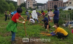 경기도, 도유지 등 6만4,000여㎡, 도민 1만 여명에게 텃밭으로 제공