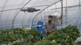 하동군 드론 활용해 딸기 인공수정 한다