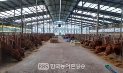 진안군, 홍삼한우농가 경쟁력 향상 시범사업 큰 호응