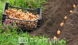 국립종자원 전북지원, 종자·육묘업 미등록, 생산·판매 미신고, 품질 미표시 등 집중 단속