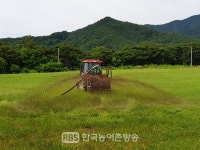 남원시, 2020년 동계풀사료 생산을 위해...비배관리를 3월까지 중점 추진할 계획