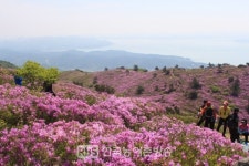 전남도, 대규모 숲 조성 블루 이코노미 선도
