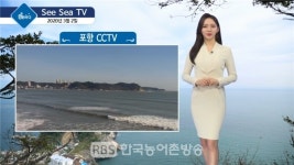 오늘의 바다 날씨, 씨씨티비(See Sea TV)로 확인하세요!