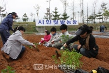 전주시 원색명화마을, 텃밭 분양