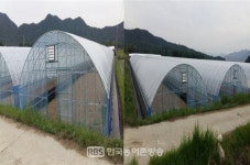 강진군, 노후 된 시설하우스 장기성 필름 지원