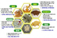 [농진청] 『양봉산물』 효능 소개… 항산화‧항염증 효과 기대