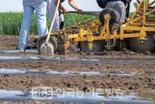 전북도,  농작업 대행 확대 농번기 인력난 등 농업인들의 영농부담 해소
