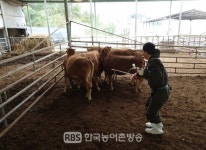 임실군,구제역 예방을 위해 원천 차단에 나선다