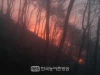 장수군 산서면 백운리 신흥마을 뒷산에서 산불발생