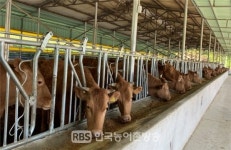 광양시, 깨끗한 축산 농장 지정 홍보 나서