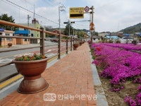 임실군,삼계면 도로변 꽃식재...아름다운 거리 조성