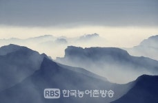 전북도, 봄철 대형산불 없이 산불조심기간 종료