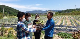 칠성면업사 목화 모종으로 기부와 나눔의 문화 확산