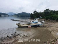 영광군, 민·관 합동 가마미해수욕장 청소 구슬땀
